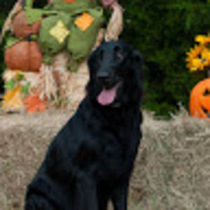 Meet your Posher, Deana